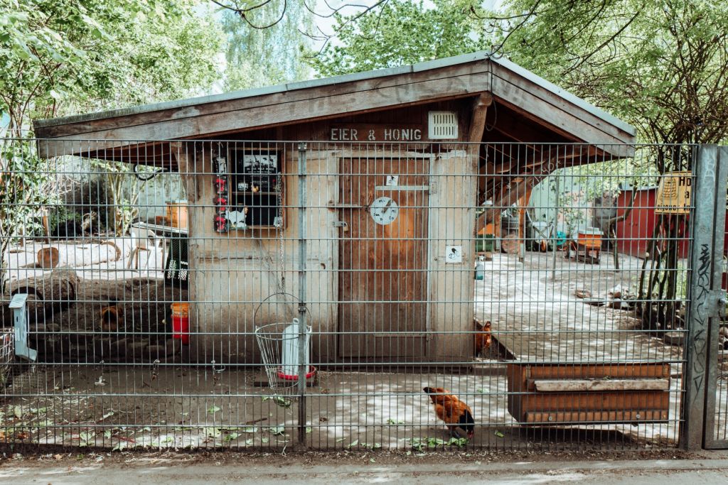 Das Zuhause der MOTTE Hühner. – ©Lisa Knauer