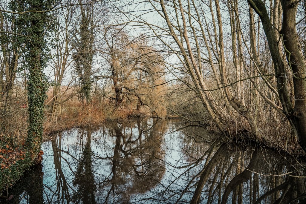 geheimtipp hamburg Eichtalpark Wandsbek wald natur linus kross0