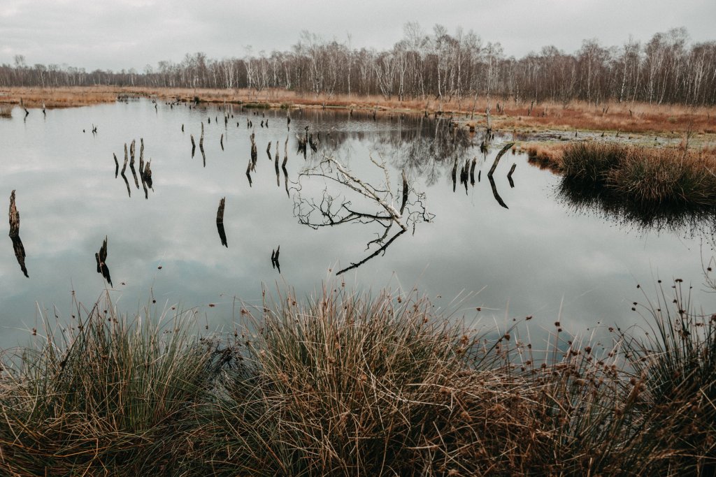Geheimtipp Hamburg Wittmoor Frederike H&ouml;hn 13 (1)