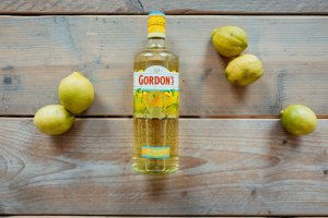 Geheimtipp Hamburg Gordons Gin Sicilian Lemon Dahlina Sophie Kock 008