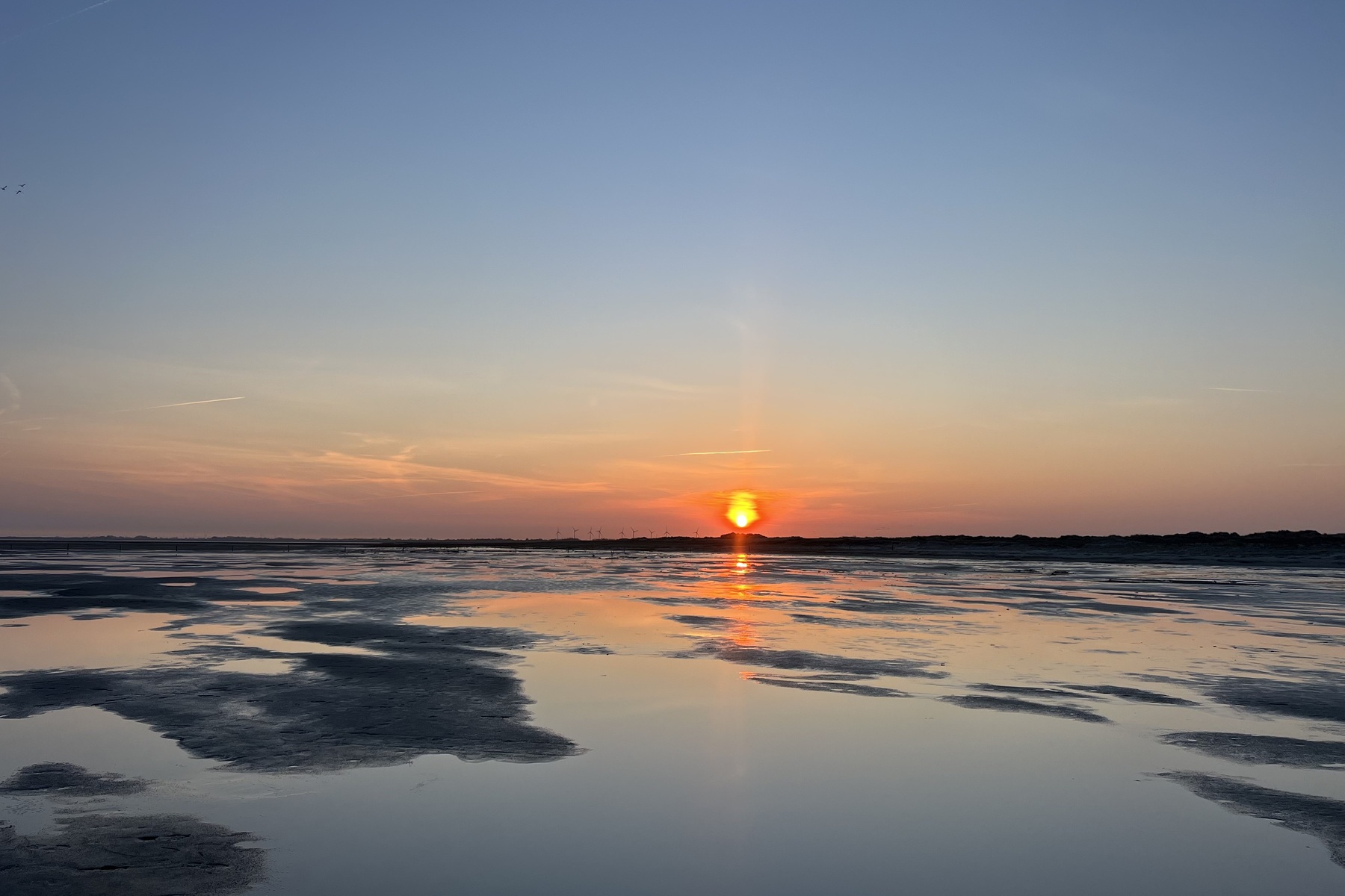 Geheimtipp Hamburg Sankt Peter Ording Ferienhaus Nordsee Marie Zeidler
