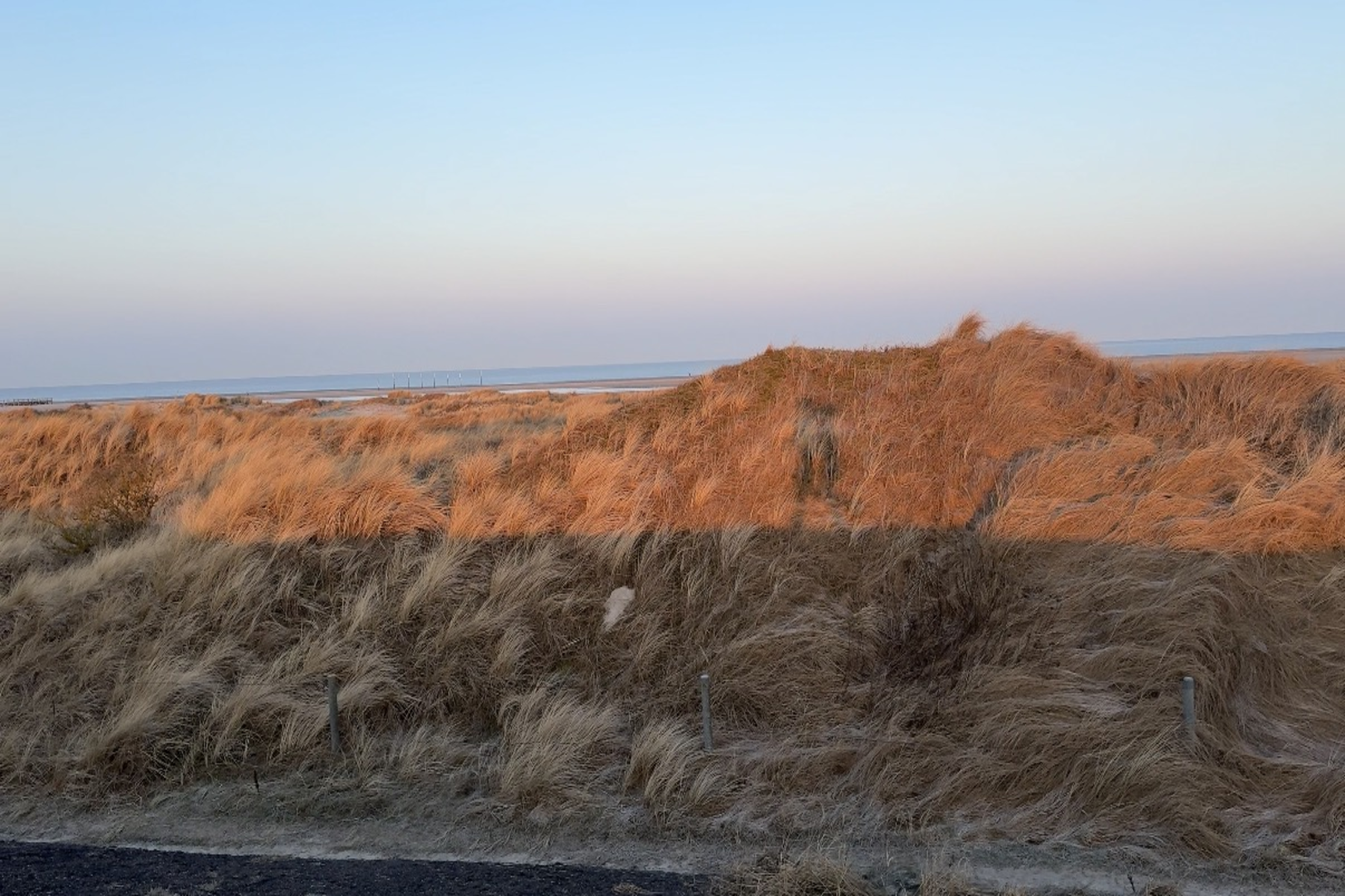Geheimtipp Hamburg Sankt Peter Ording Ferienhaus Nordsee Marie Zeidler